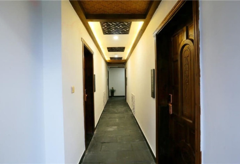 הוסטל Tree House