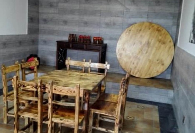 הוסטל Tree House