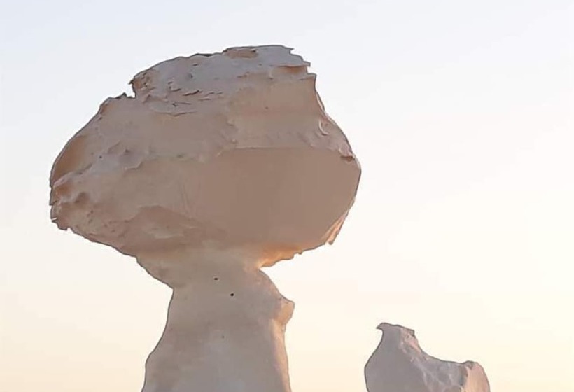 هتل White Desert Camp