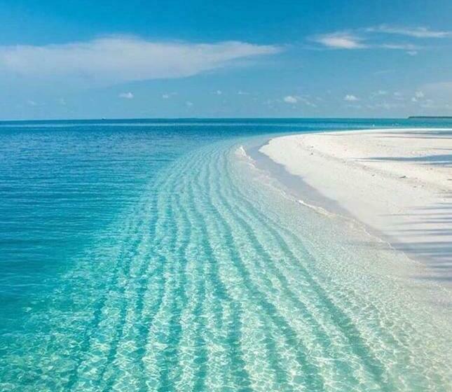 פנסיון B&b Butterfly