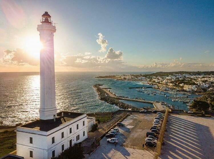 פנסיון B&b Butterfly