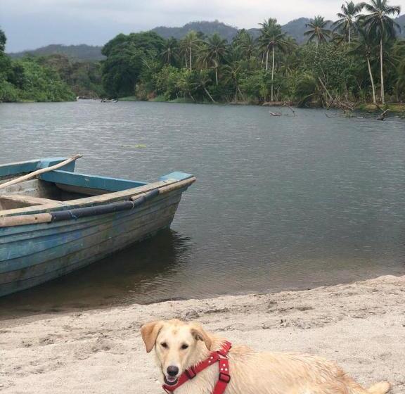 پانسیون Jui Chi Mama