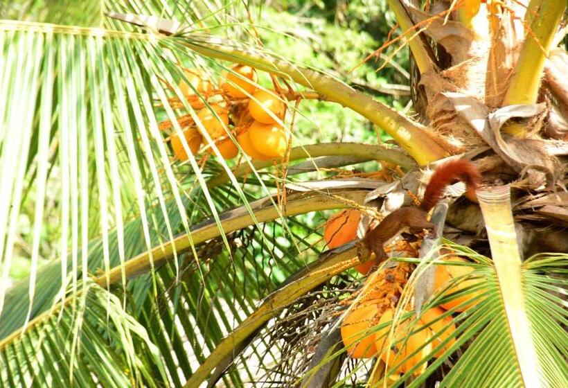 پانسیون Jui Chi Mama