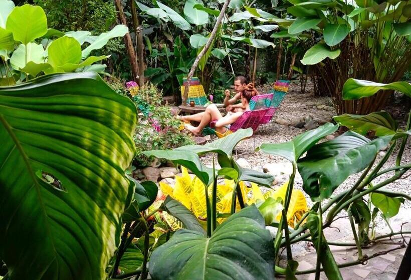 پانسیون Jui Chi Mama