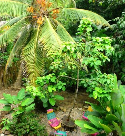 پانسیون Jui Chi Mama