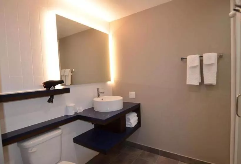 Hotelli Glō Best Western Enid Ok Downtown   Convention Center