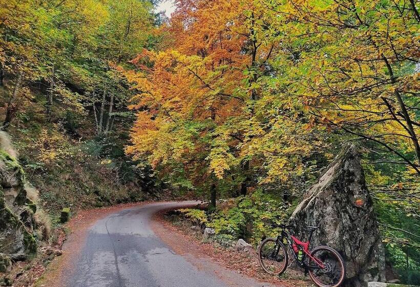 Beautiful 8 Bed Cottage In Celorico With Pool