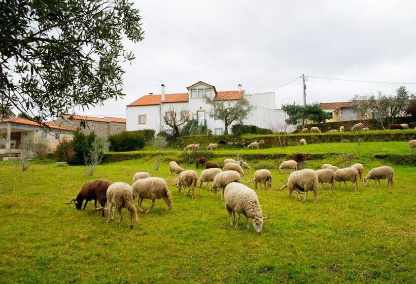 Beautiful 8 Bed Cottage In Celorico With Pool