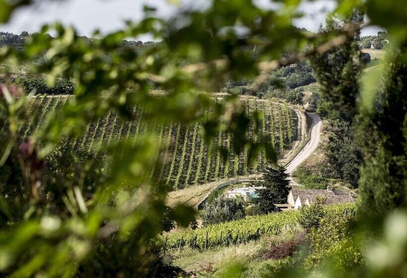 Enticing Apartment In Ascoli Piceno With Swimming Pool