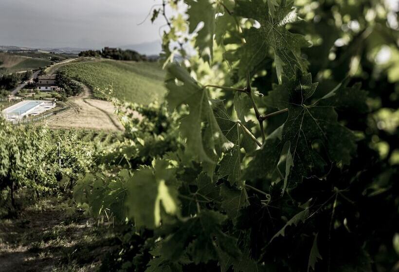 Enticing Apartment In Ascoli Piceno With Swimming Pool