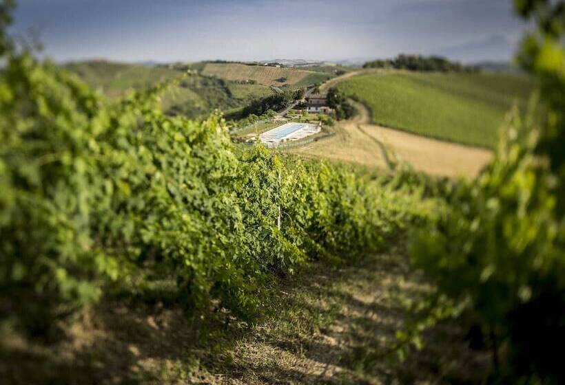 Enticing Apartment In Ascoli Piceno With Swimming Pool