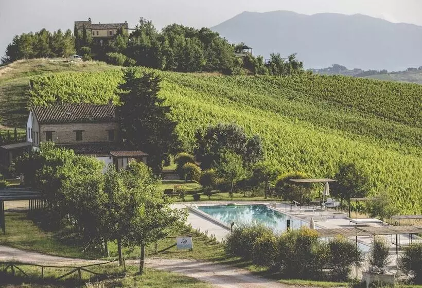 Enticing Apartment In Ascoli Piceno With Swimming Pool