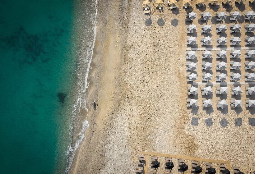 בית מלון כפרי Bio Beach Boutique