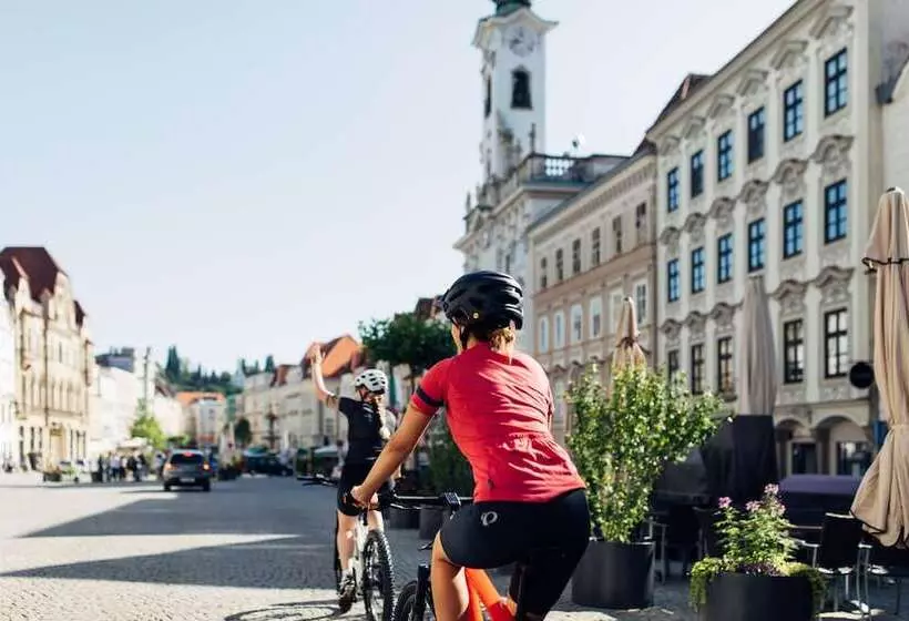 Harry S Home Steyr Hotel & Apartments