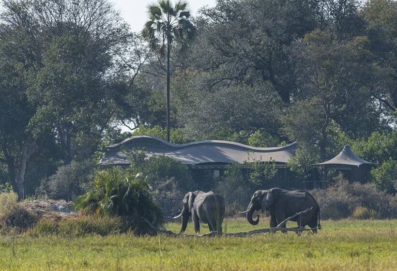 هتل Xigera Safari Lodge