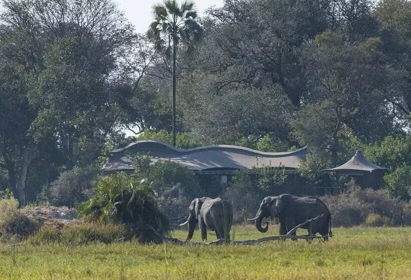 هتل Xigera Safari Lodge