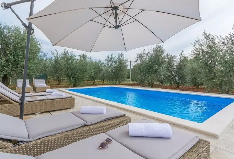 Modern Newly Built Villa In A Beautiful Location With Private Pool And Garden