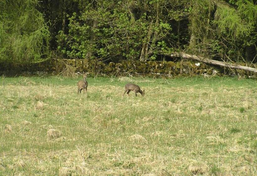 住宿加早餐  Balnacraig
