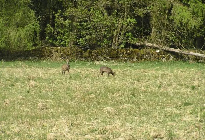 مبيت وإفطار Balnacraig
