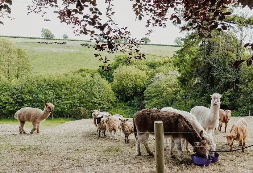 Bed and Breakfast Smeaton Farm