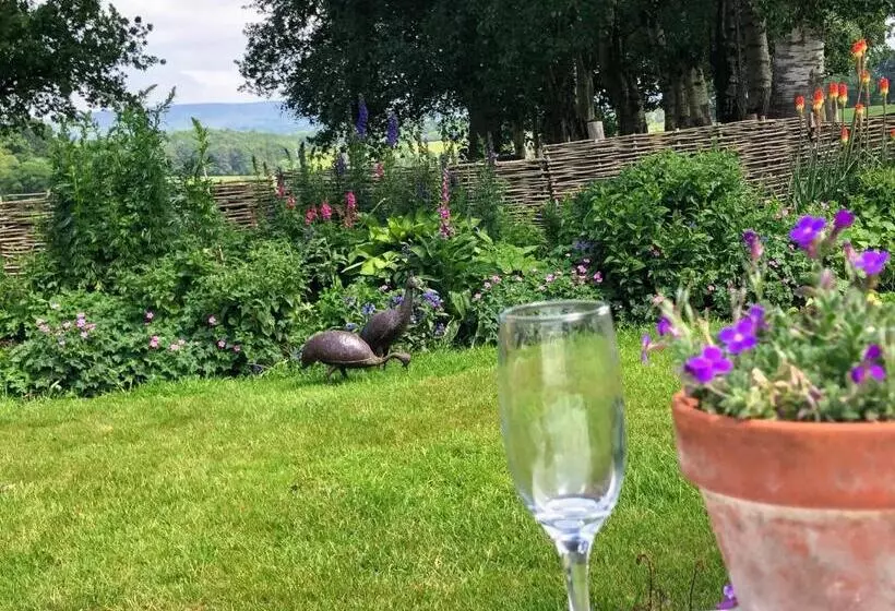 住宿加早餐 Yew Tree Farm