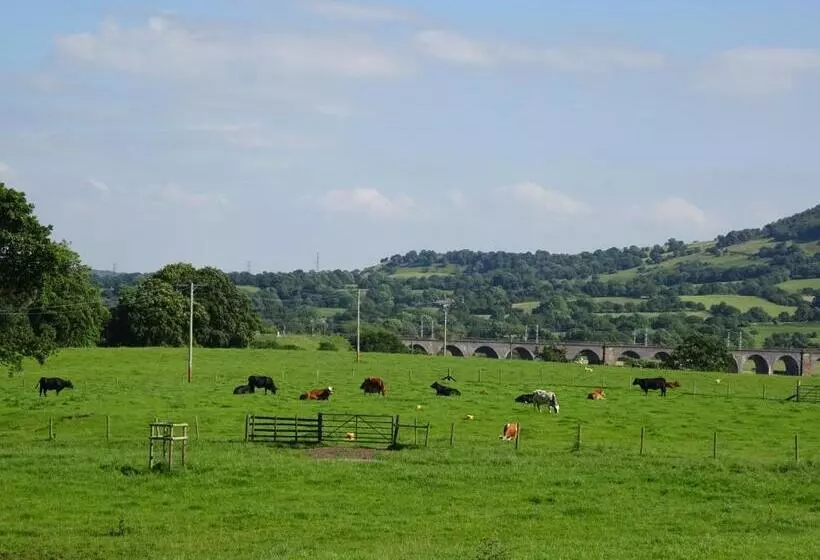 住宿加早餐 Yew Tree Farm