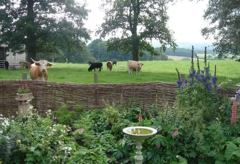 住宿加早餐 Yew Tree Farm