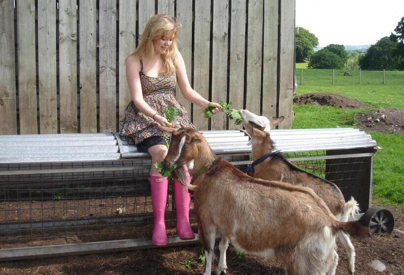 ベッドアンドブレックファースト Yew Tree Farm