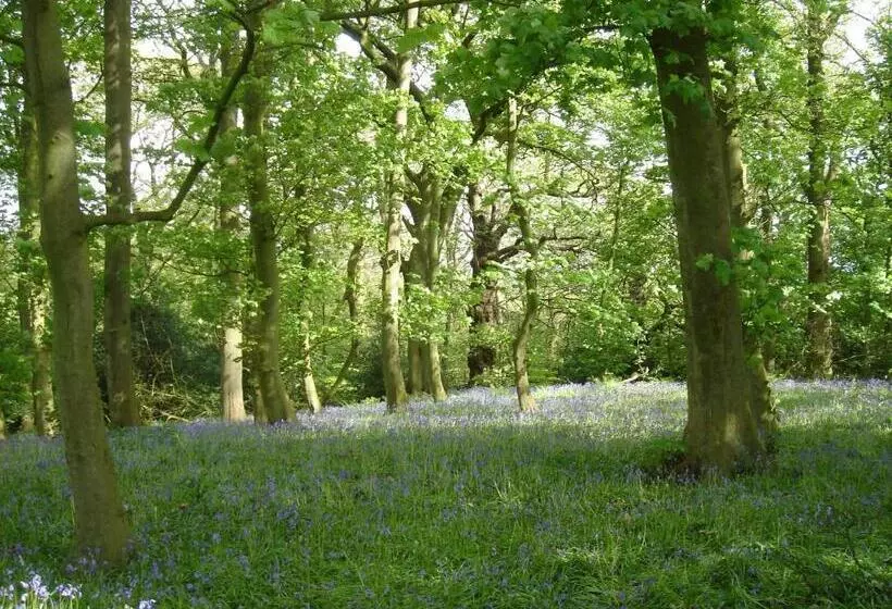 住宿加早餐 Yew Tree Farm