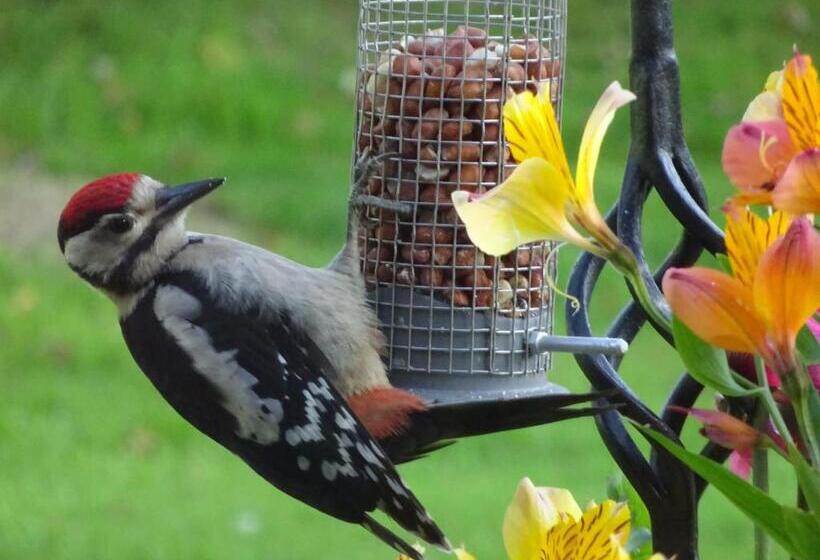 ベッドアンドブレックファースト Yew Tree Farm