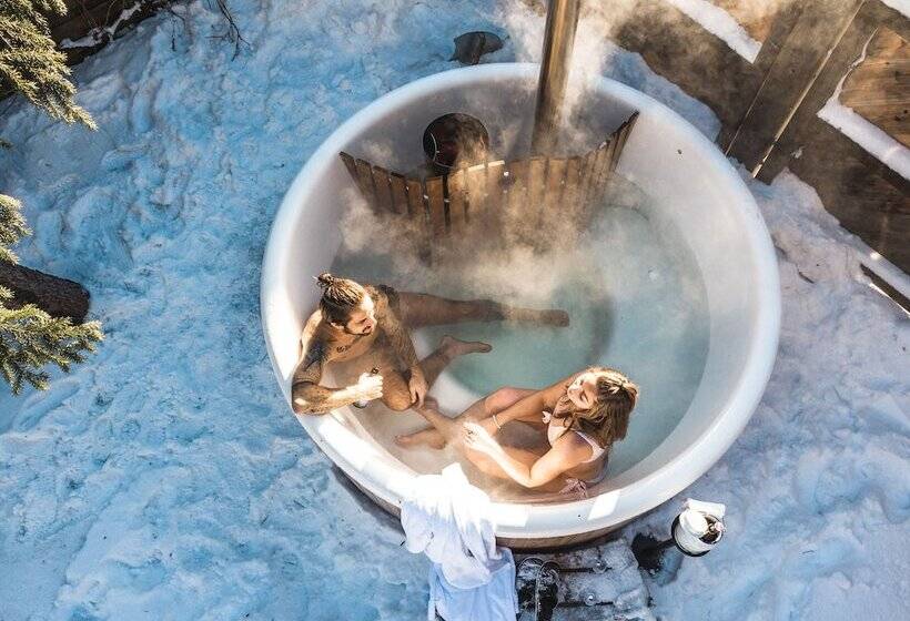 هتل Das Falkenstein