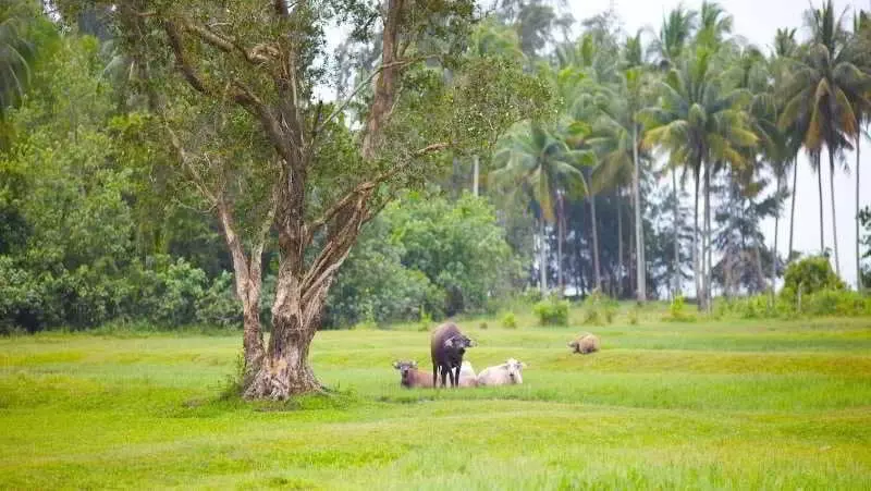 ホテル Nantra De Deluxe