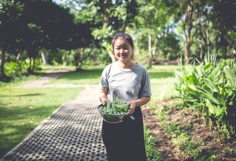 בית מלון כפרי Narittaya Resort And Spa