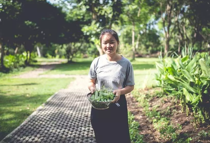 Hotel Narittaya Resort And Spa