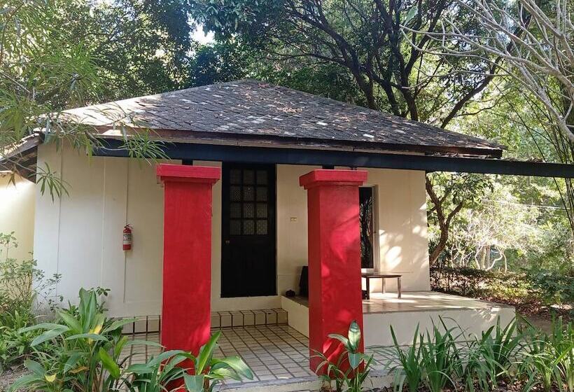 בית מלון כפרי Narittaya Resort And Spa