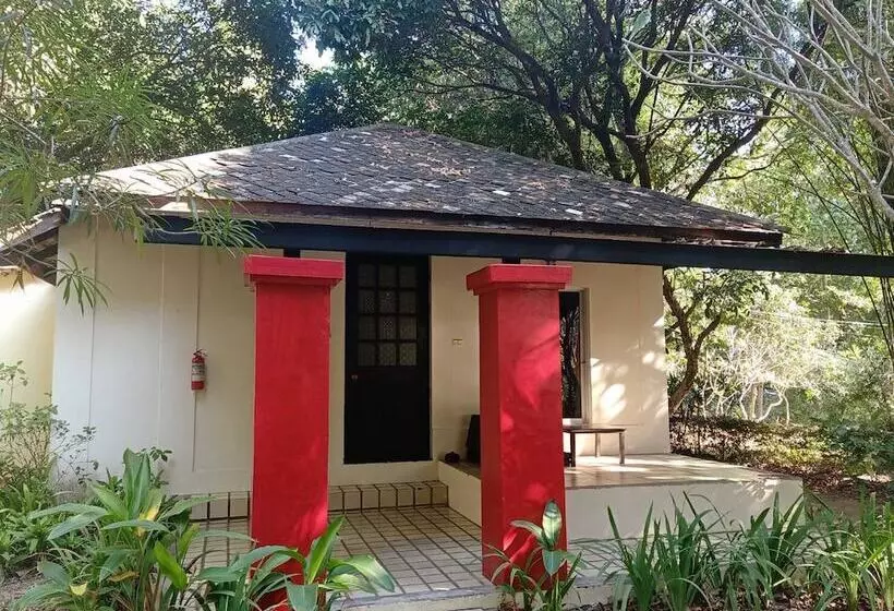 Szálloda Narittaya Resort And Spa