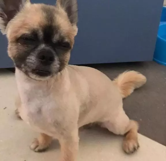 Отель Residence Il Tombolo