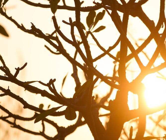 هتل Rupar Mandalar Resort