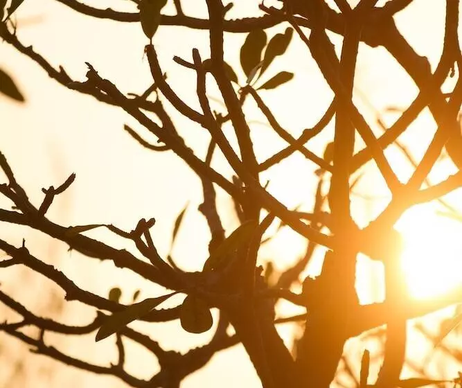 هتل Rupar Mandalar Resort