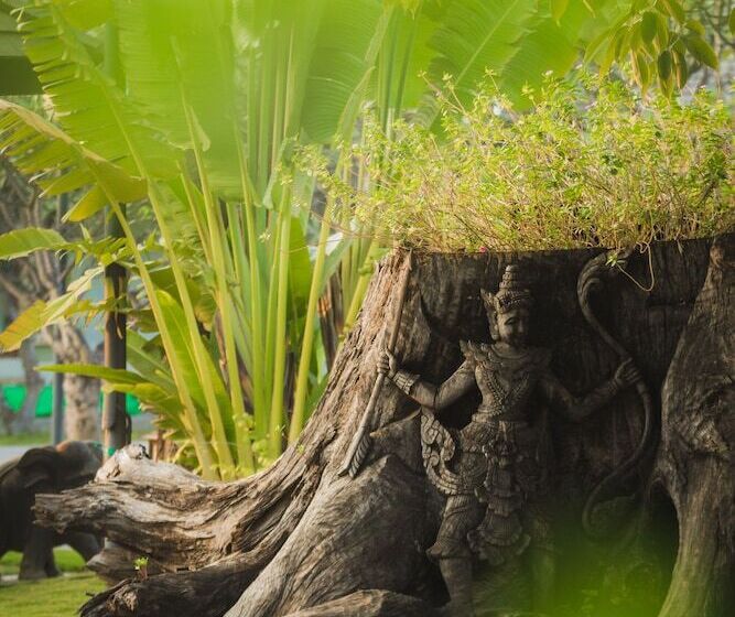 هتل Rupar Mandalar Resort