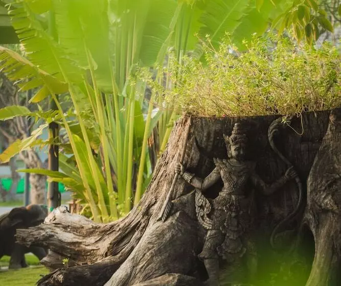 هتل Rupar Mandalar Resort