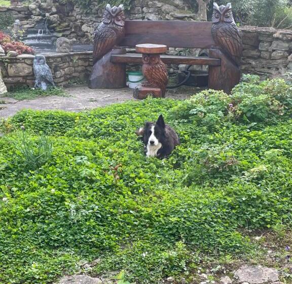 Oakenholt Farm Bed And Breakfast