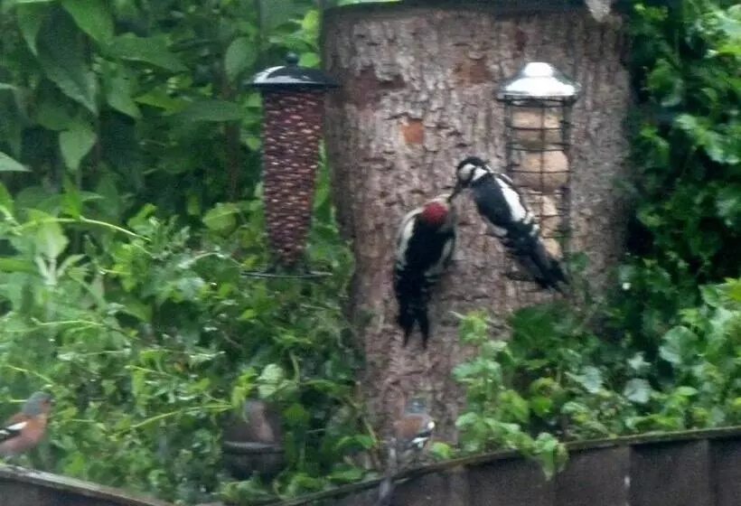 Oakenholt Farm Bed And Breakfast