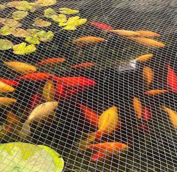 Oakenholt Farm Bed And Breakfast