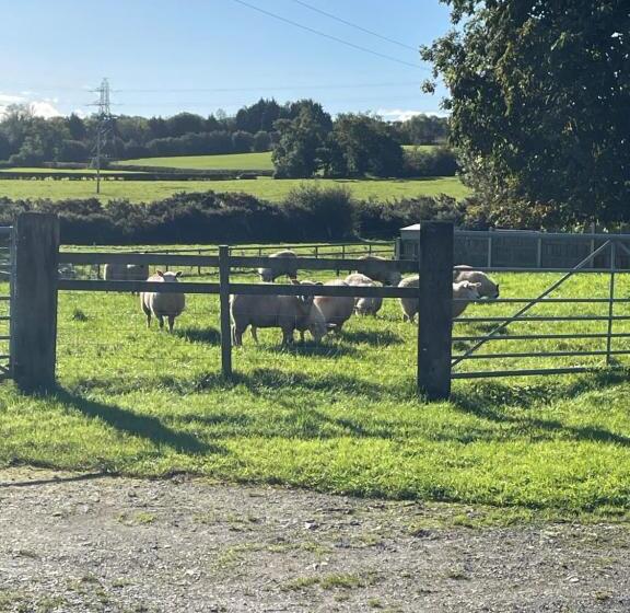 Oakenholt Farm Bed And Breakfast