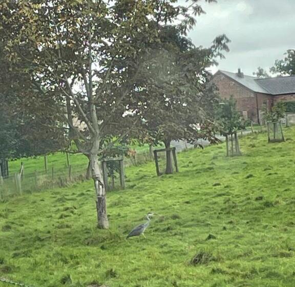 Oakenholt Farm Bed And Breakfast