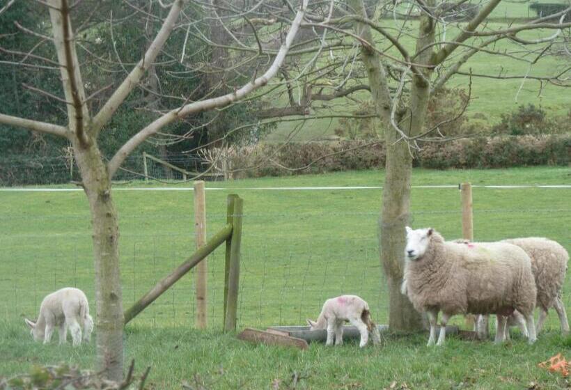 Oakenholt Farm Bed And Breakfast