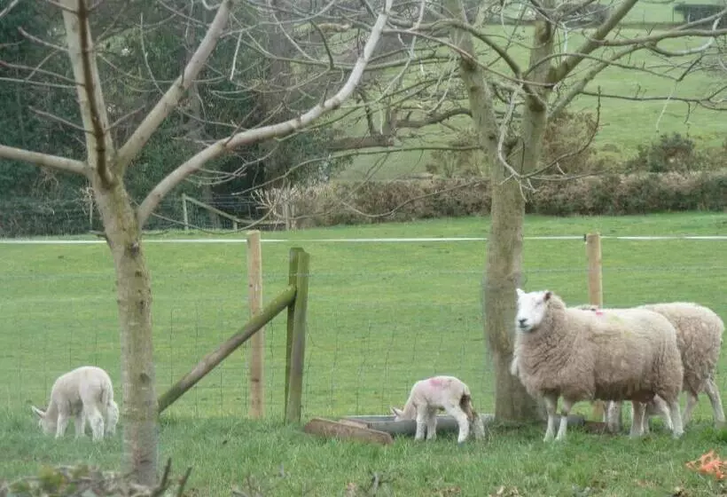 Oakenholt Farm Bed And Breakfast