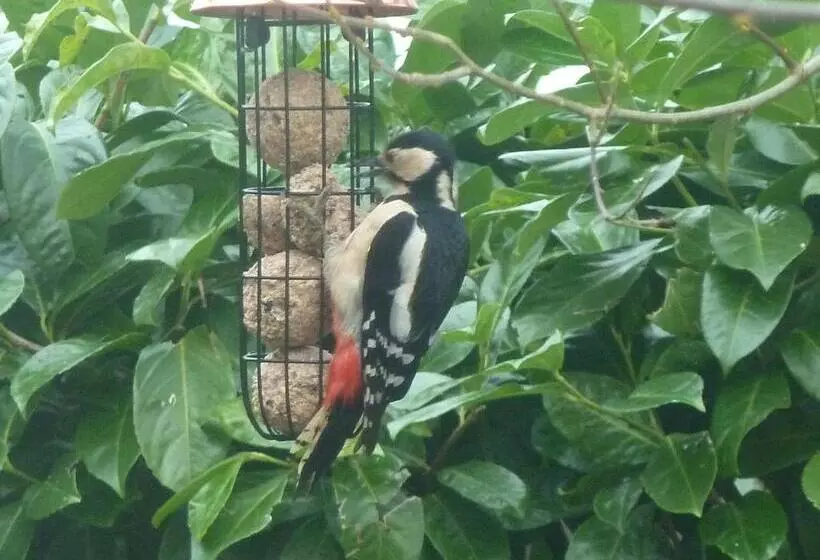 Oakenholt Farm Bed And Breakfast