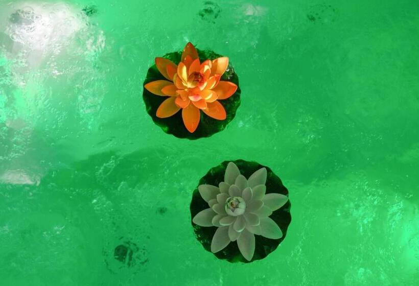 Bed and Breakfast Les Volets Violets